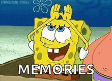 Sponge
